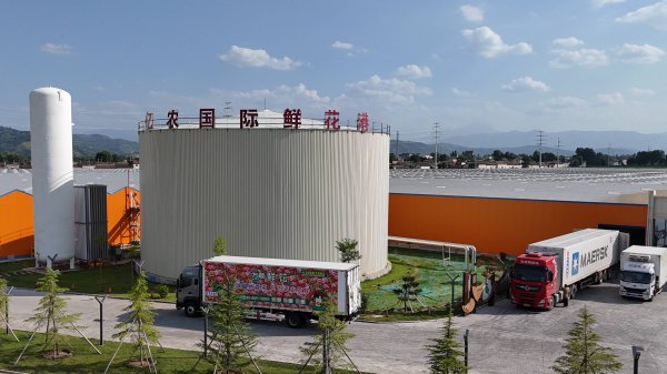 炒股配资门户网站 中国西部产鲜花持续走向中亚国家